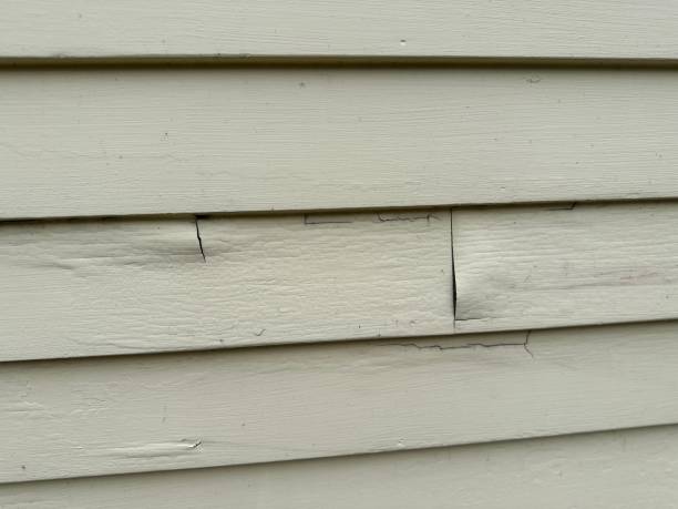 Best Fiber Cement Siding Installation  in Boles Acres, NM